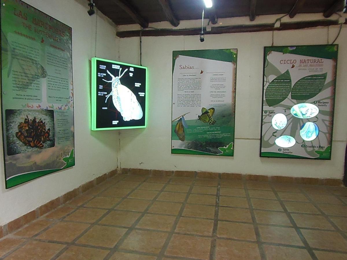 Hostal Pablo'S House Machu Picchu Exterior photo